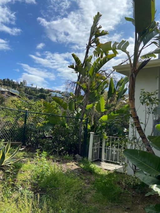 Stunning Hollywood Midcentury Modern-views-best Location! Vakantiehuis Los Angeles
